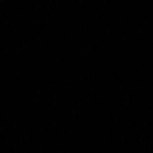 Meet your Posher, Deanna